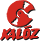 kalóz record store logo